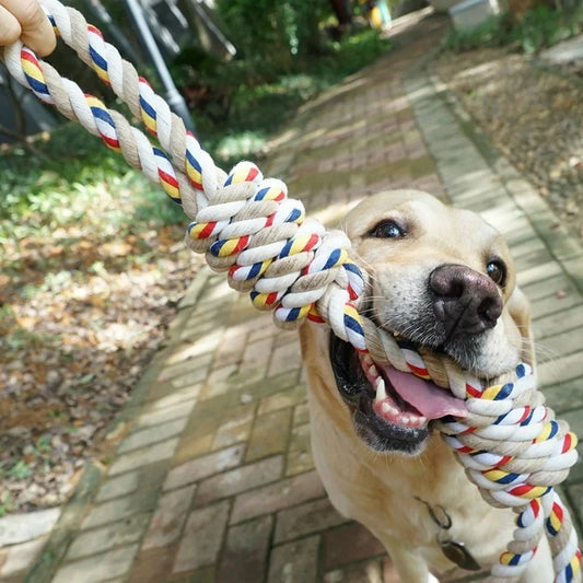 60CM Tug Rope Dog Toy